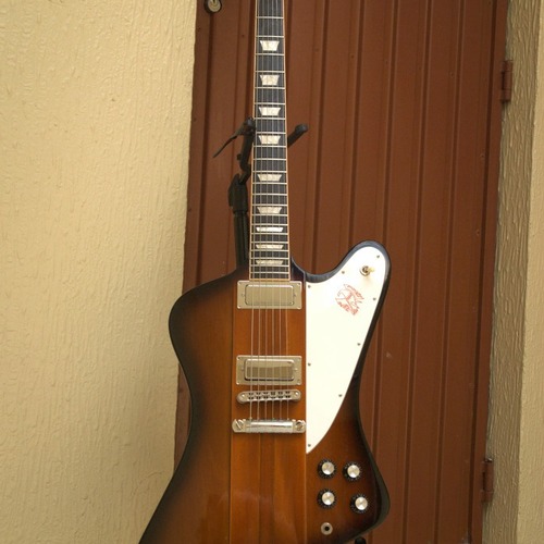 ricardo_jorge_rocha's gear photo