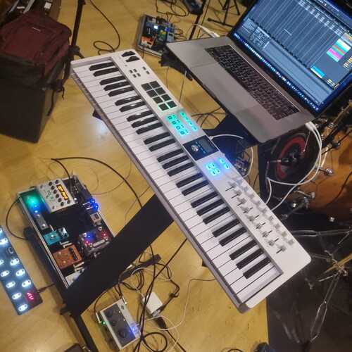 Roland DP-10 Sustain Pedal - What To Know & Where To Buy | Equipboard