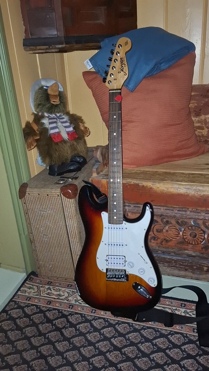 Metal Live Rig by lars_gustav_larsson featuring Morgan Guitars (Norway) Legend Stratocaster HSS and Dunlop Jazz III Picks