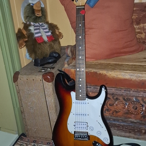lars_gustav_larsson's gear photo