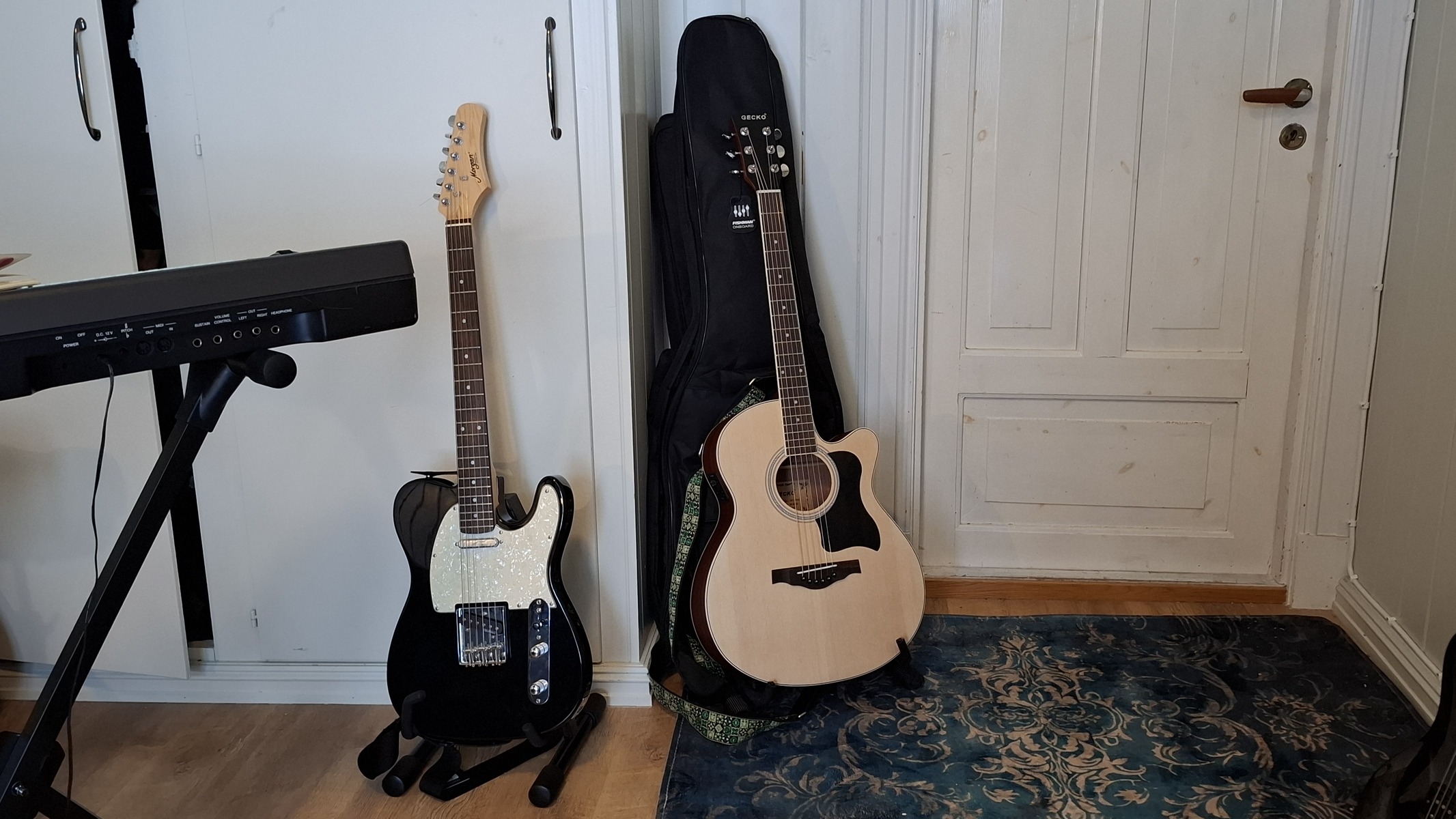 Synth Setup by lars_gustav_larsson featuring Gem GEM PX7, Morgan Guitars (Norway) GP TL 250 Telecaster, and Gecko Musical Intrument Co Gecko GF-40EQ Electro Acoustic Guitar