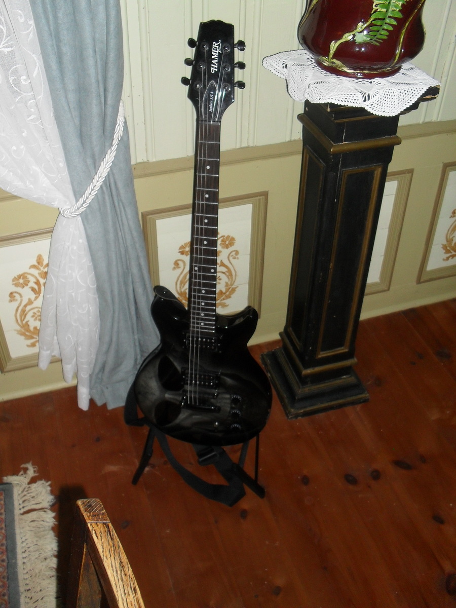 Music Gear Setup by lars_gustav_larsson featuring Hamer XT Series Skulls