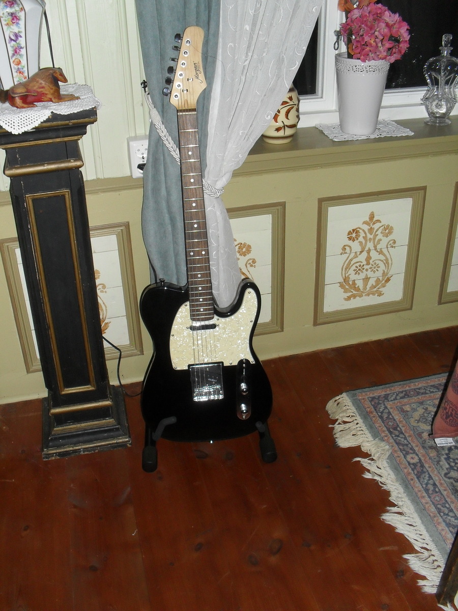 lars_gustav_larsson's music gear photo