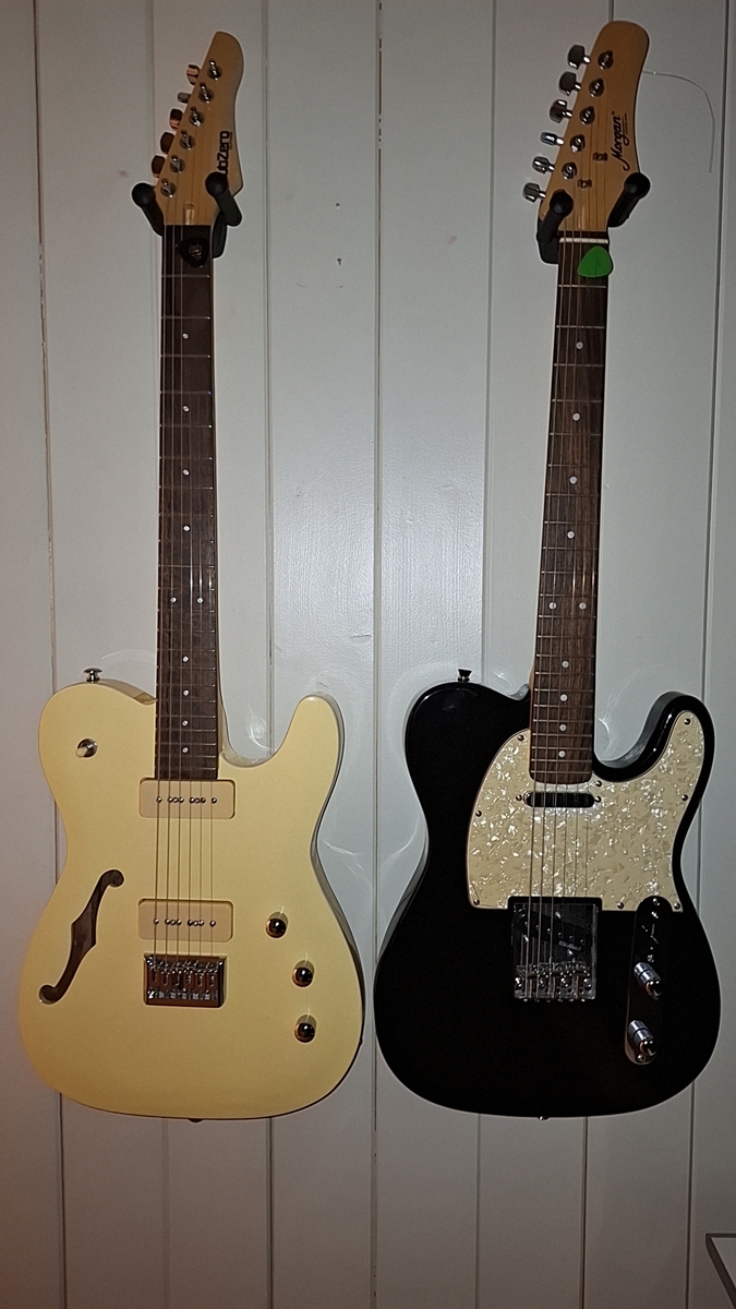 Metal Music Gear Setup by lars_gustav_larsson featuring Sub Zero Paradigm Semi-Hollow Electric Guitar, Morgan Guitars (Norway) GP TL 250 Telecaster, and Snarling Dogs Brain 0.53 pick and 2 more pieces of gear