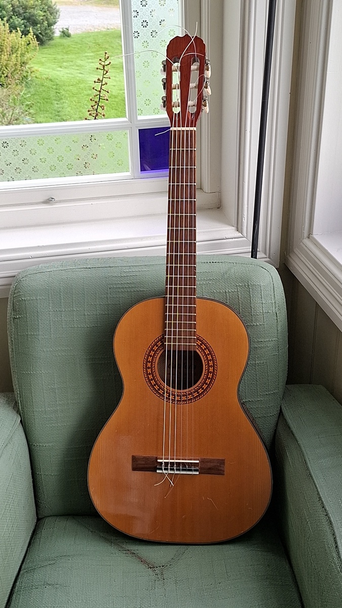 Music Gear Setup by lars_gustav_larsson featuring Cataluna SGN4060 Classic Guitar and Ernie Ball 2403 Clear and Silver