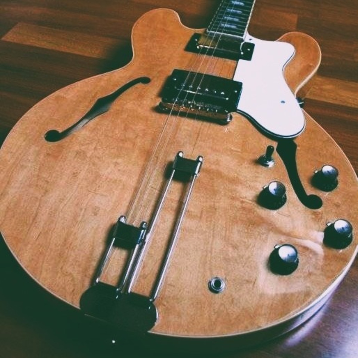 Music Gear Setup by spro featuring Epiphone Riviera Reissue (1994 - 1999)