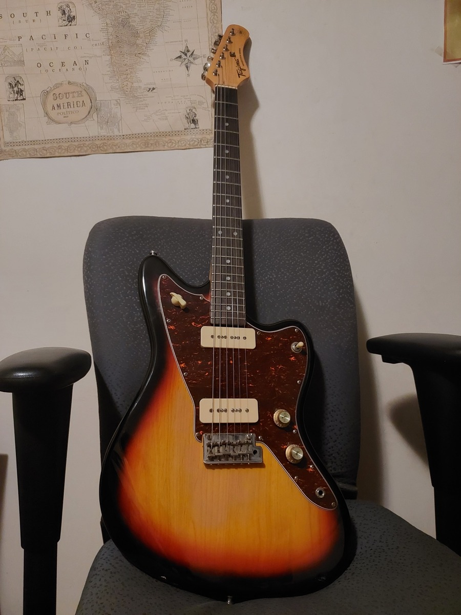 Music Gear Setup by eduardocardoso featuring Tagima TW-61