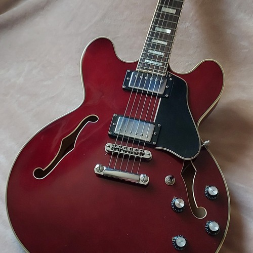 Photo of Tagima Blues 3000 in a guitar
