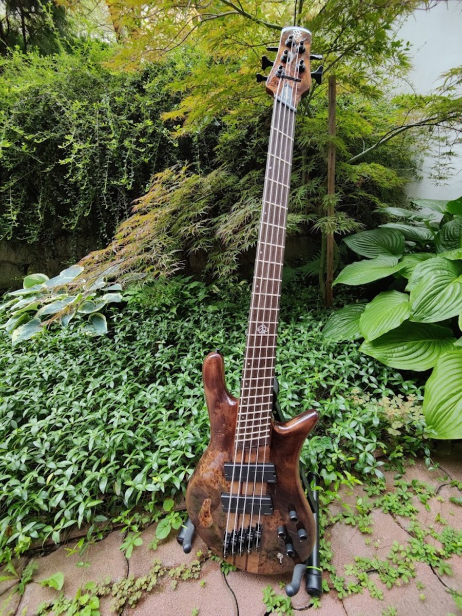 Music Gear Setup by bassistbear featuring Spector NS Dimension 5