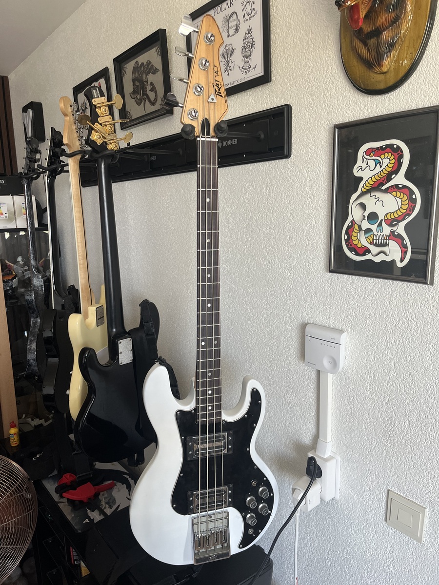 Music Gear Setup by marijn_borsboom0108 featuring Peavey T-40