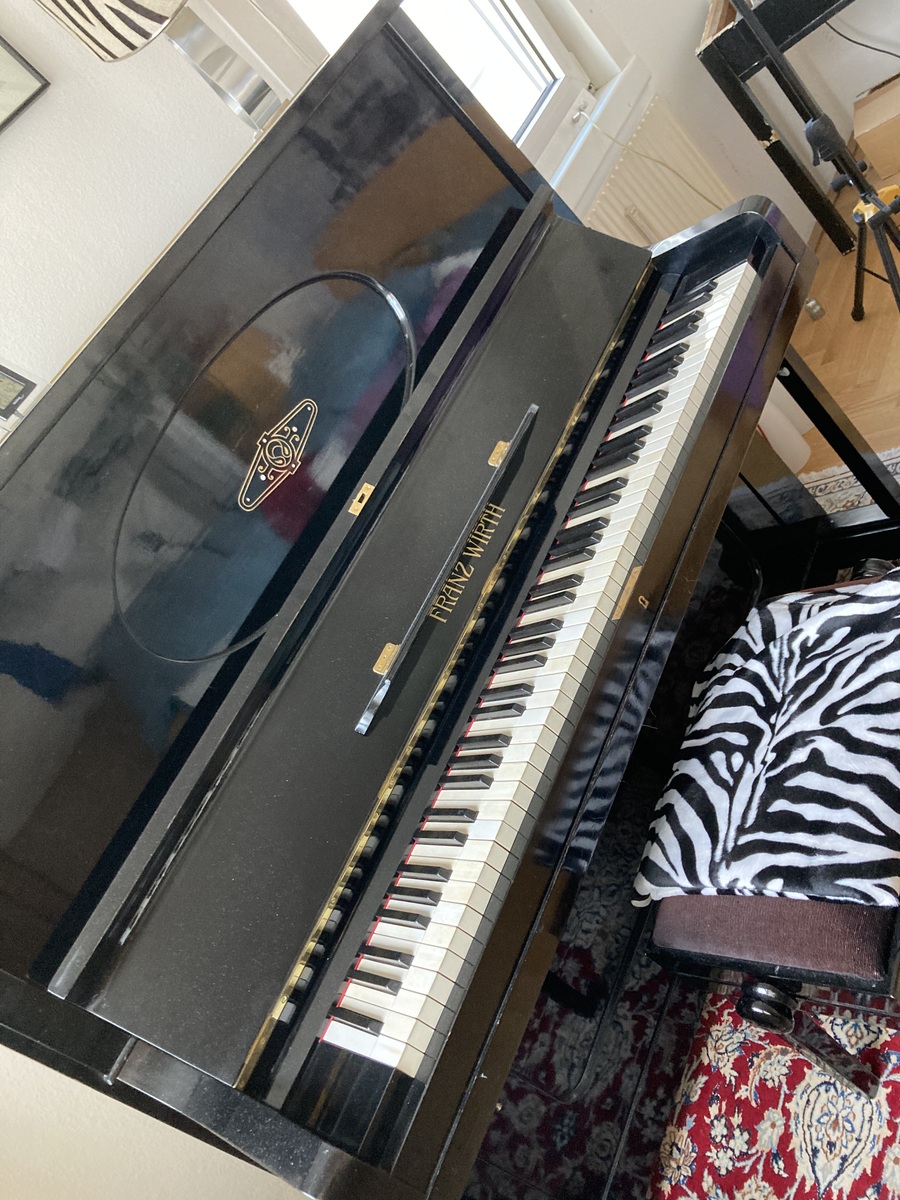herbert_lastuvka's music gear photo