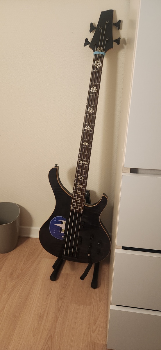 yeunnal's music gear photo