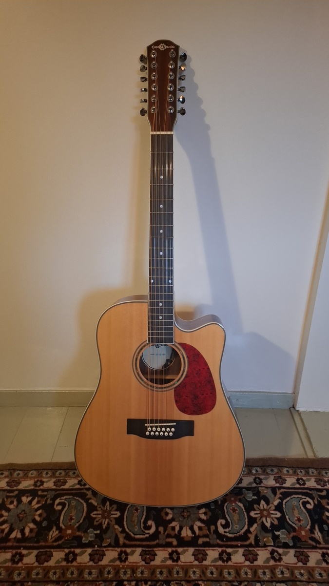 Music Gear Setup by lars_gustav_larsson featuring Gear4Music DN-112NT 12 String Acoustic Guitar