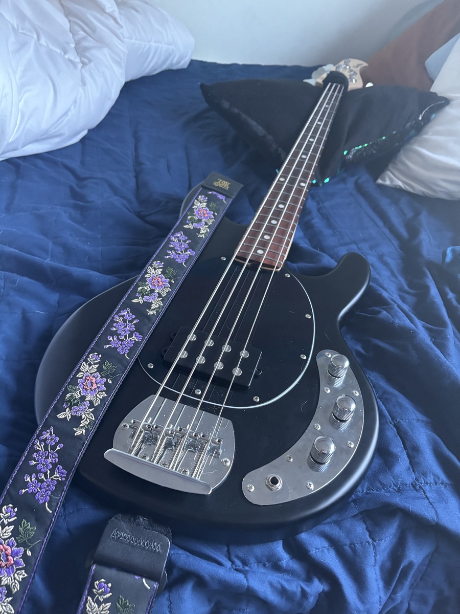 Metal Bass Rig by ashleiiiiiiiii featuring Sterling by Music Man StingRay and Ernie Ball Regular Slinky Bass Strings (50-105)