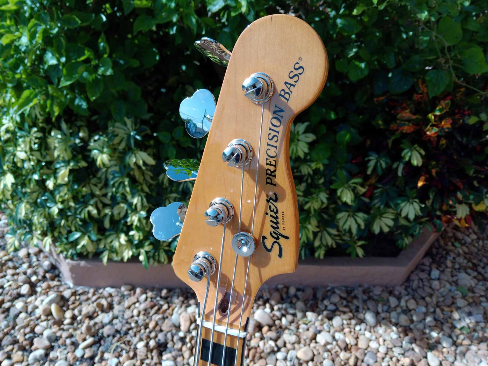Music Gear Setup by jeremy_crockett featuring Squier Limited-Edition Classic Vibe ‘70s Precision Bass Guitar