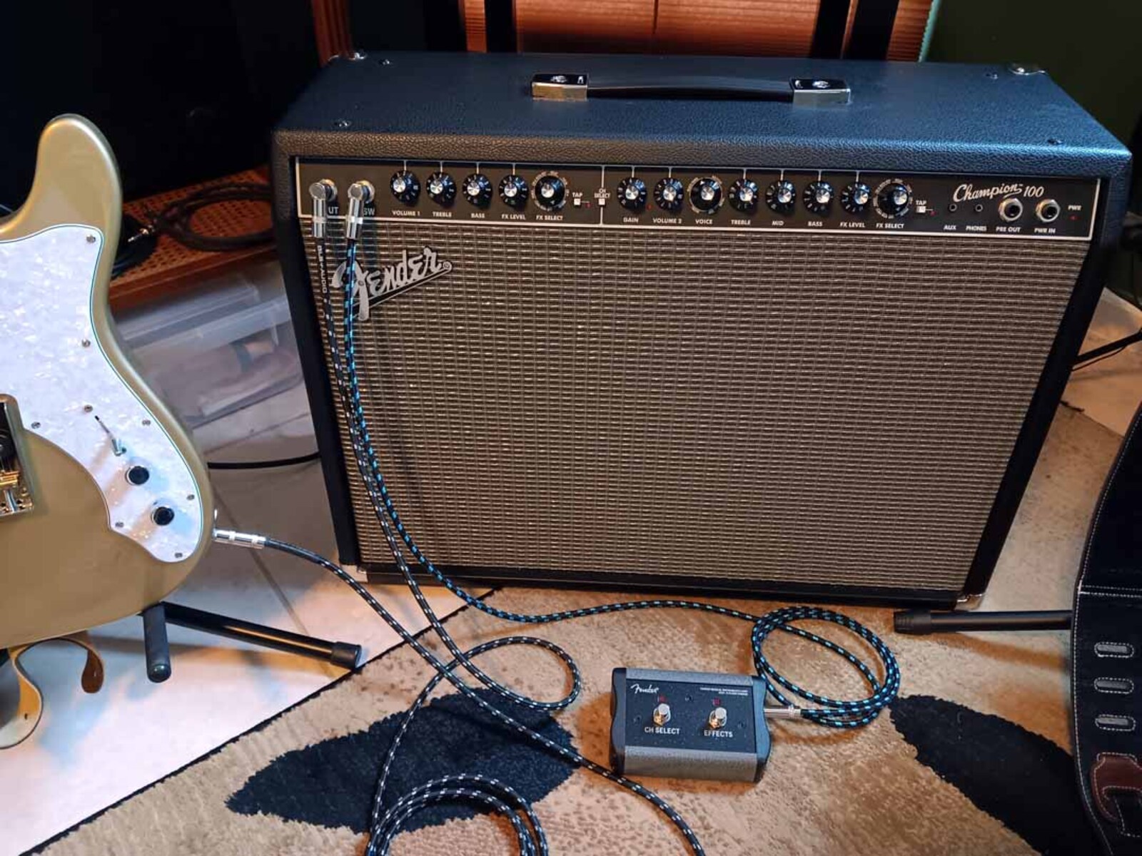 Amp Rig by jeremy_crockett featuring Fender Champion 100