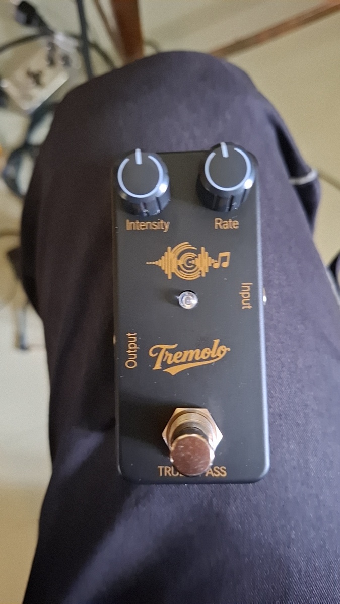 lars_gustav_larsson's music gear photo