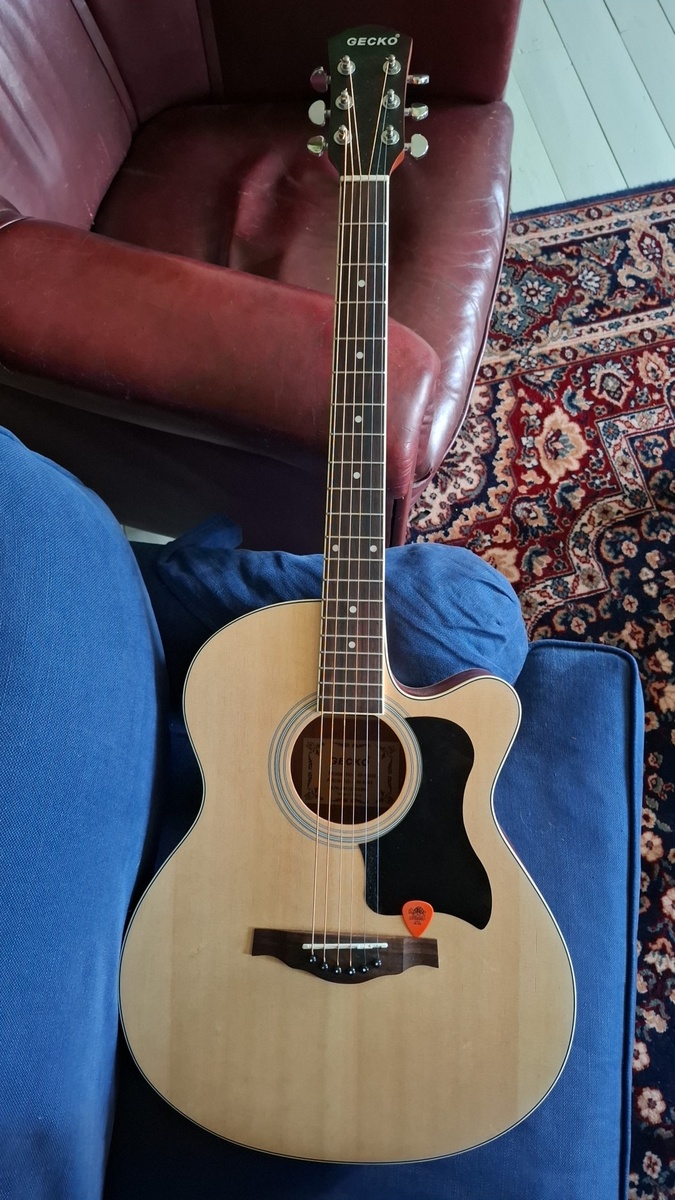 lars_gustav_larsson's music gear photo