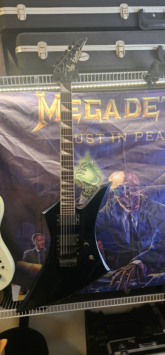 Music Gear Setup by wolf_mods featuring EMG zw 81/85 set