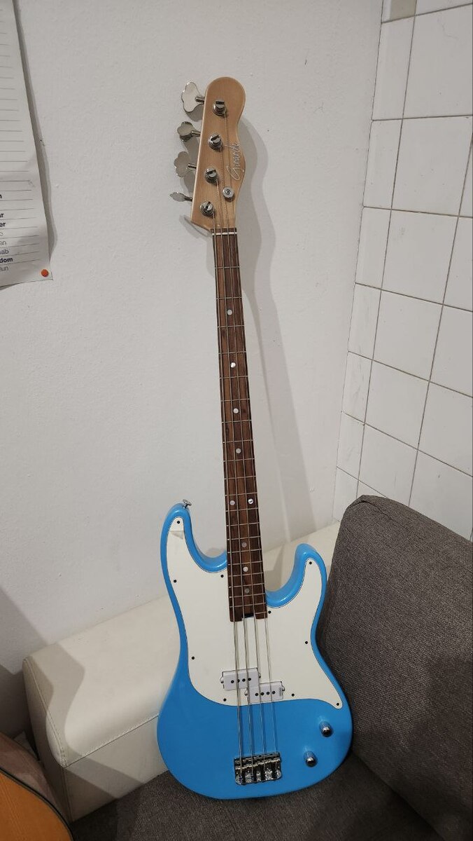 thenerdbass's music gear photo