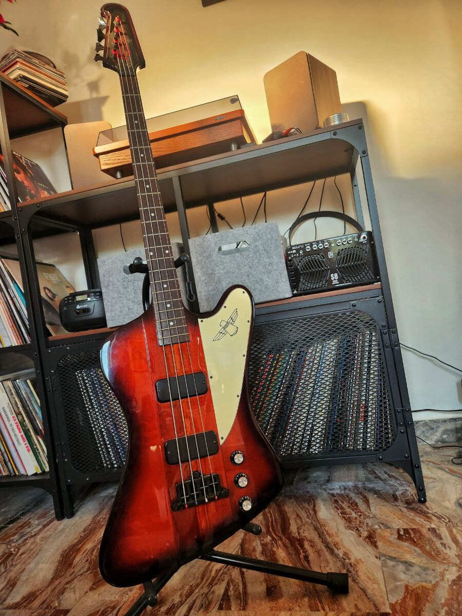 Epiphone Studio Setup by thenerdbass featuring Epiphone Thunderbird Classic-IV Pro and Caline Scuru S8B