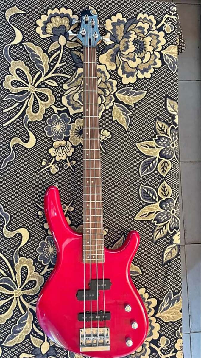 Music Gear Setup by galvann featuring Cort Action Bass Plus TR