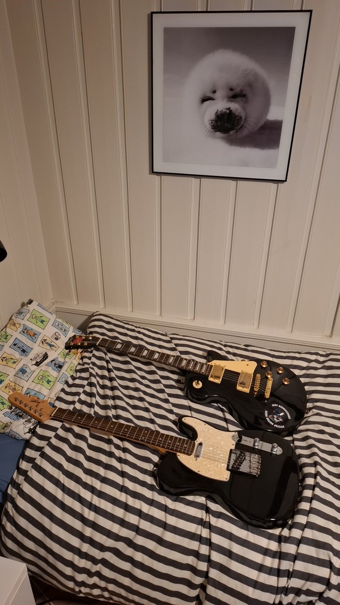 Music Gear Setup by lars_gustav_larsson featuring Morgan Guitars (Norway) GP TL 250 Telecaster and Morgan Guitars (Norway) Legend Series LP 40 GP