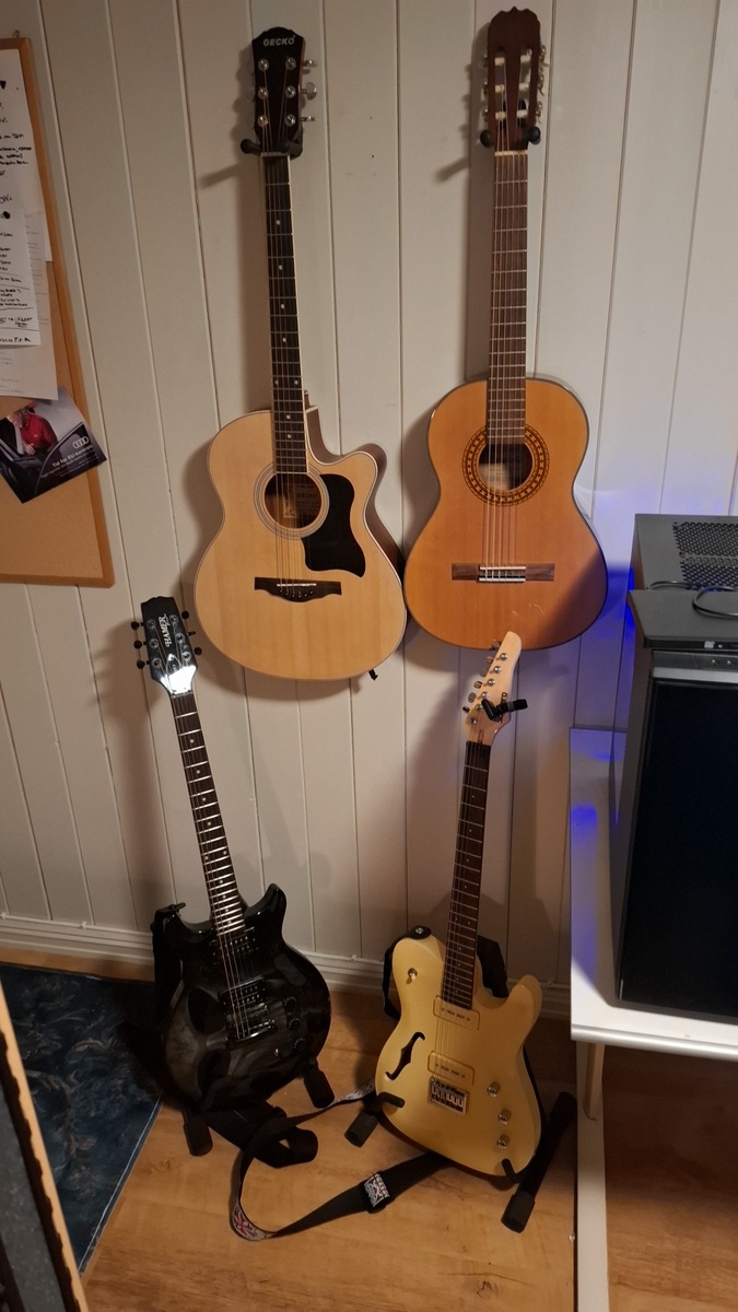 Music Gear Setup by lars_gustav_larsson featuring Gecko Musical Intrument Co Gecko GF-40EQ Electro Acoustic Guitar, Cataluna SGN4060 Classic Guitar, and Hamer XT Series Skulls and 2 more pieces of gear
