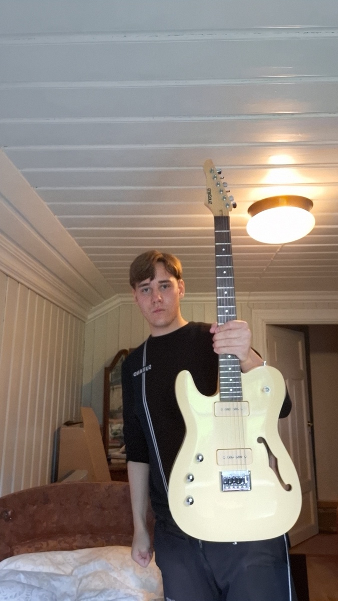 Music Gear Setup by lars_gustav_larsson featuring Sub Zero Paradigm Semi-Hollow Electric Guitar