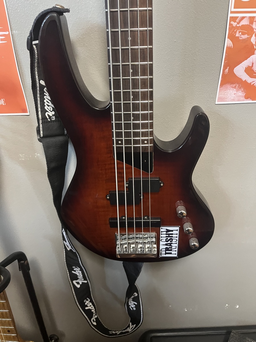 Music Gear Setup by kerbzgabe featuring ESP LTD B-55