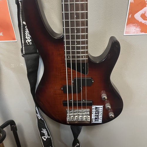 Photo of ESP LTD B-55 in a bass