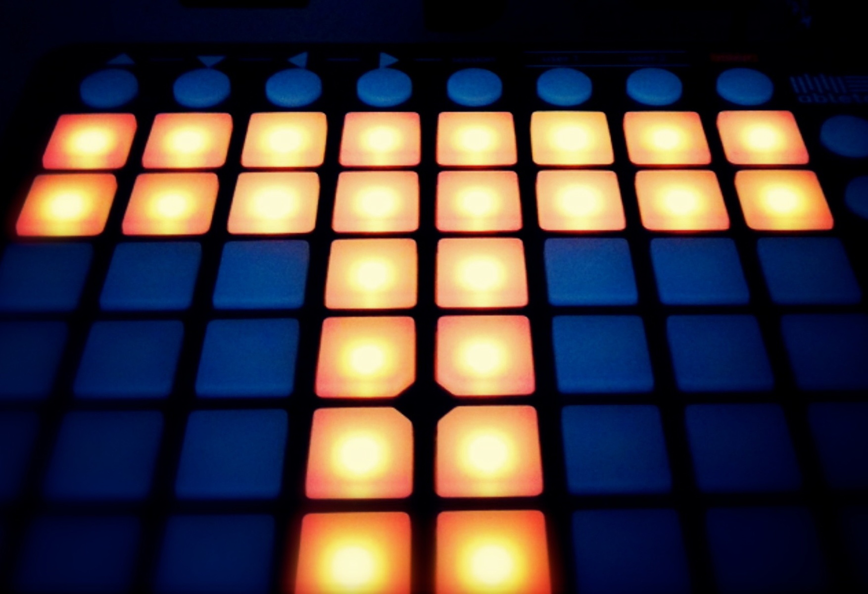 tmusicfin's music gear photo