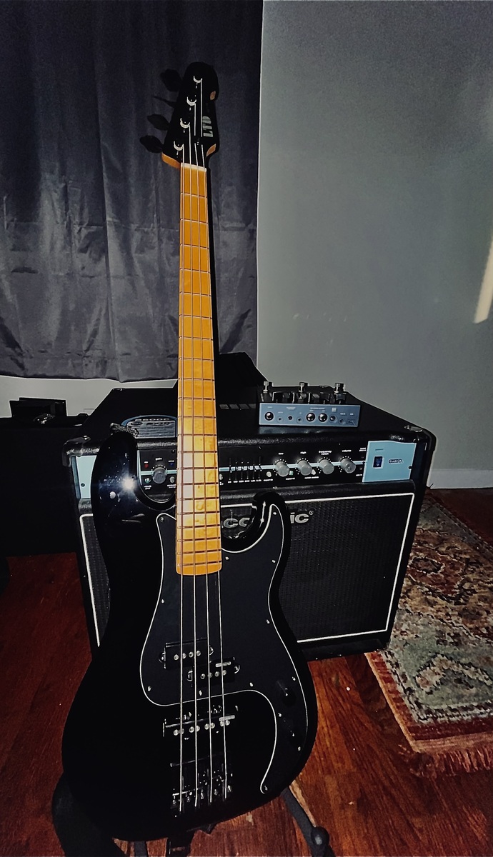 LTD Pedalboard by camix featuring LTD GC-P4 and Darkglass Electronics Alpha-Omega Photon Bass Distortion/Compression