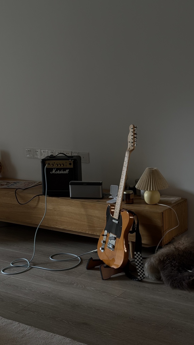 Amp Rig by creamydreamer featuring Squier Telecaster, Marshall MG10, and Dunlop Tortex Wedge 0.60mm Guitar Picks and 2 more pieces of gear