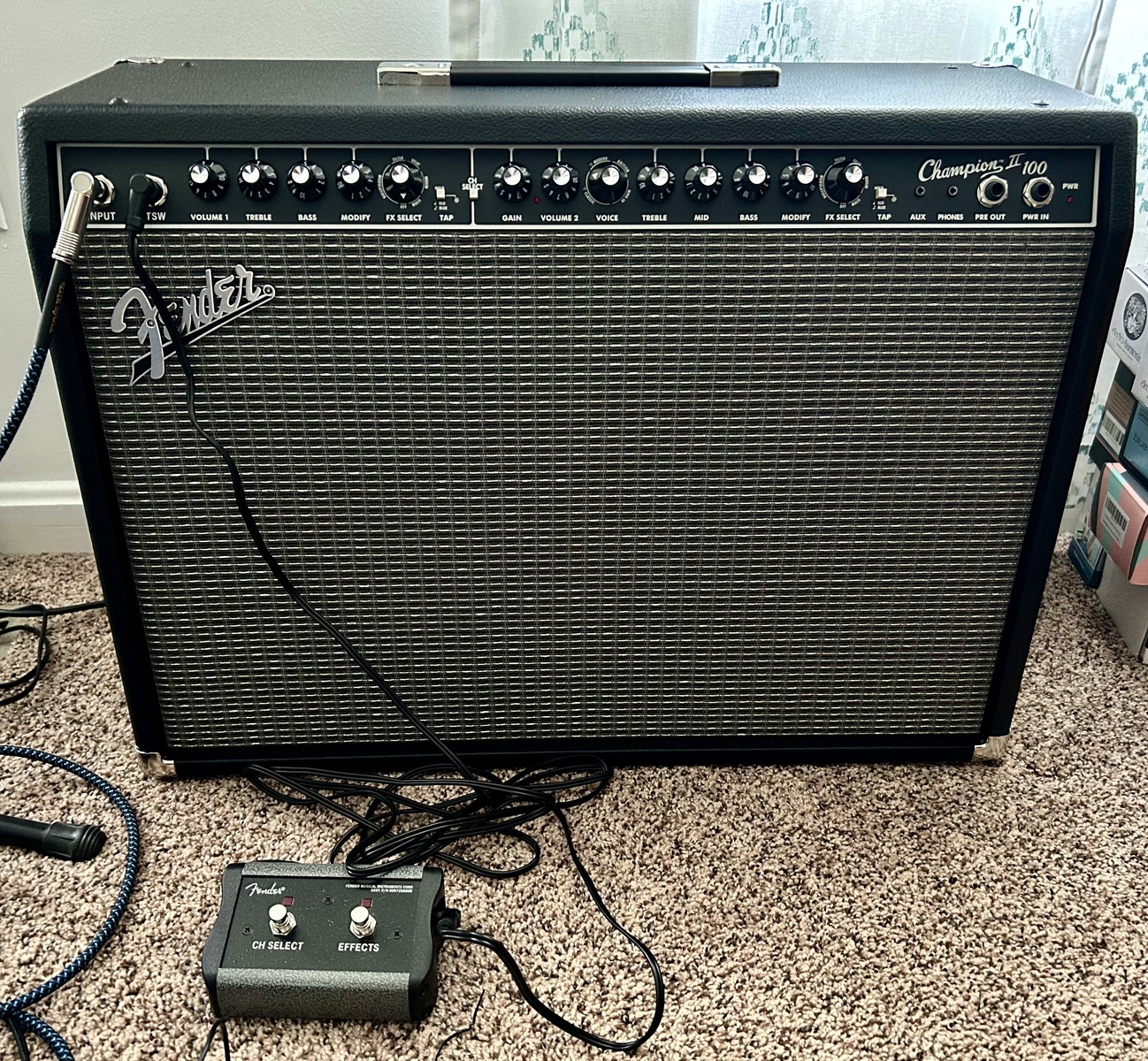 Amp Rig by zack_jade featuring Fender Champion II 100