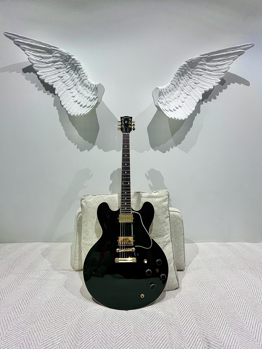 Country Music Gear Setup by paperman featuring Gibson ES-335