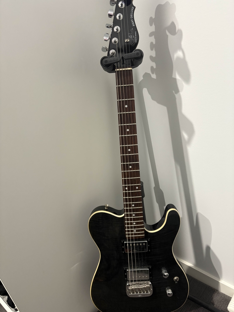 Music Gear Setup by retardead featuring G&L Tribute ASAT Deluxe Carved Top
