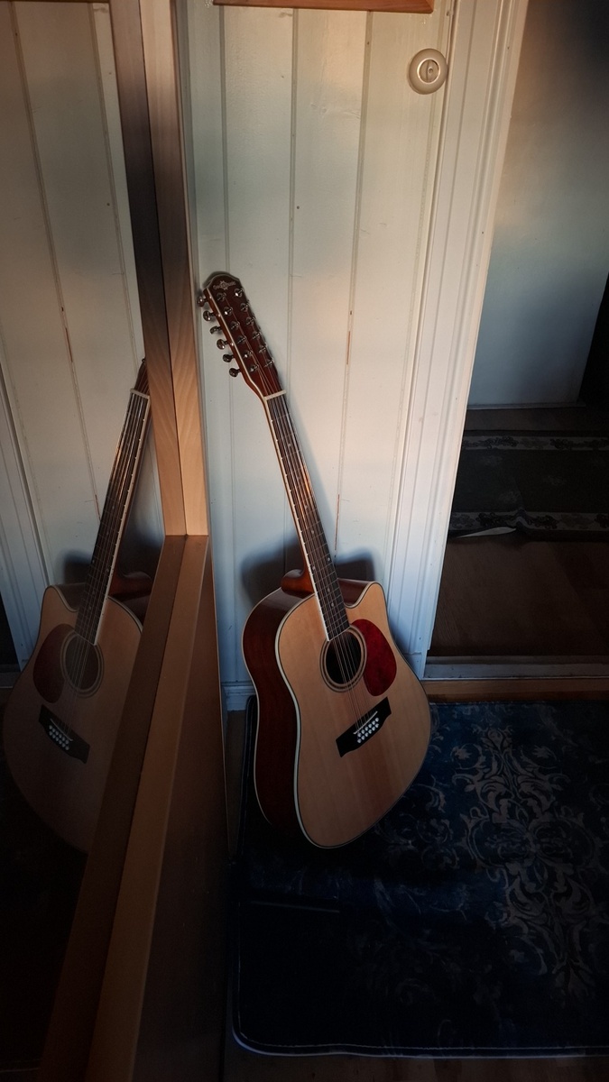 Music Gear Setup by lars_gustav_larsson featuring Gear4Music DN-112NT 12 String Acoustic Guitar