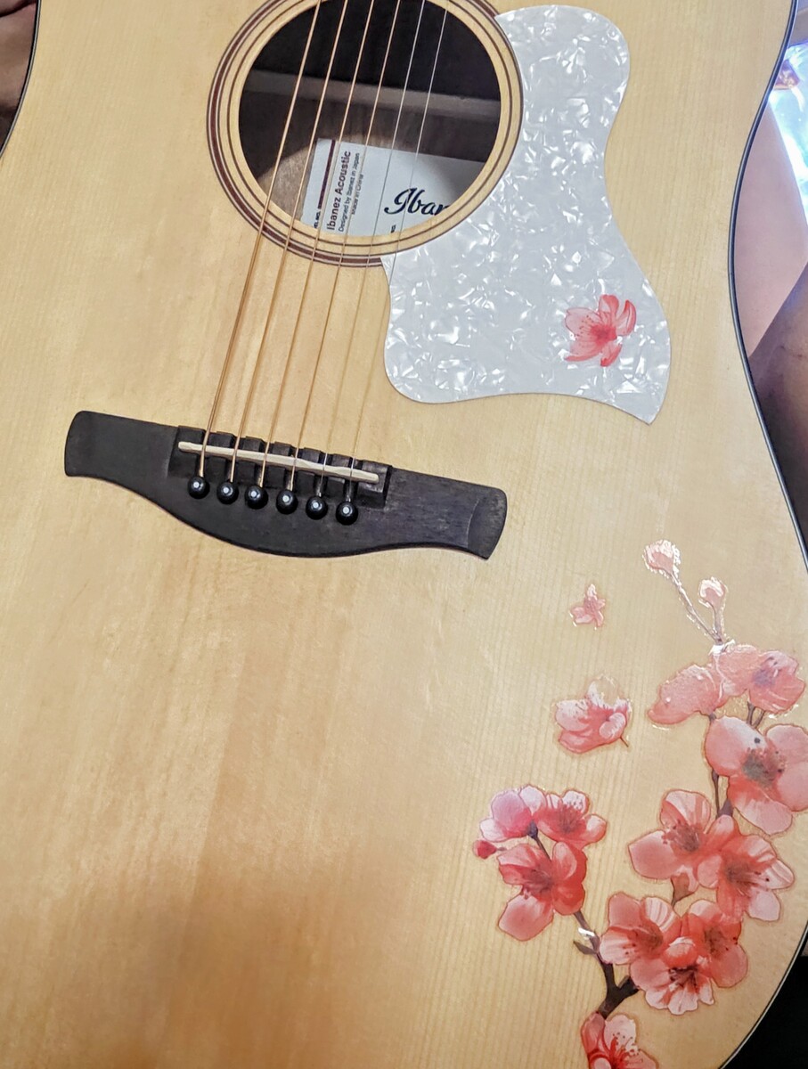 Music Gear Setup by megscetera featuring Ibanez AAD100 Advanced Acoustic Dreadnought