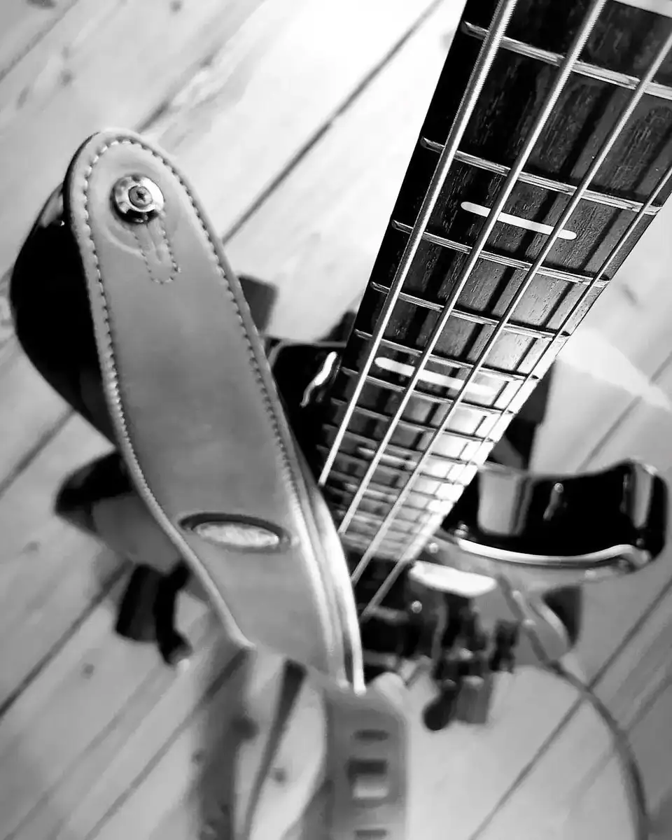 maibanez's music gear photo