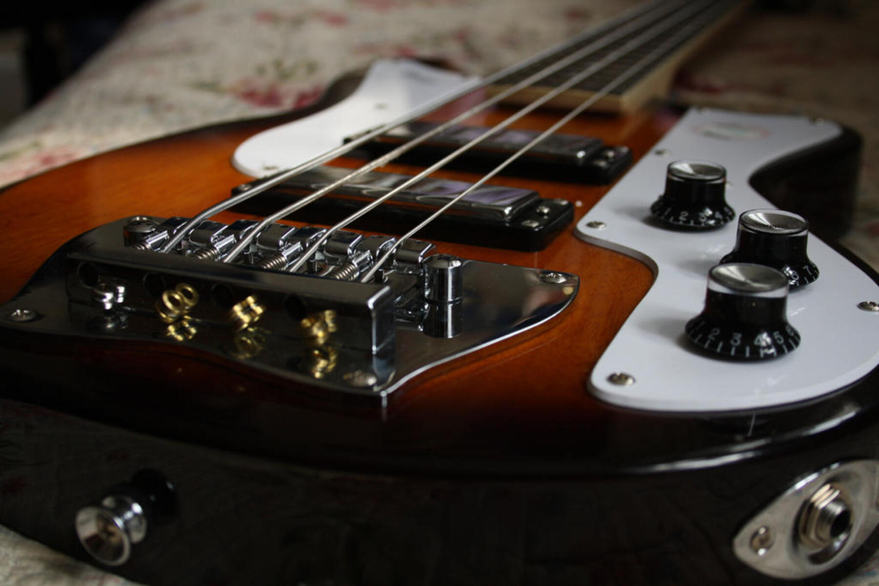 maibanez's music gear photo