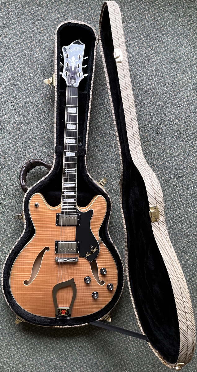 Music Gear Setup by ukebloke featuring Hagström Viking Deluxe Electric Guitar