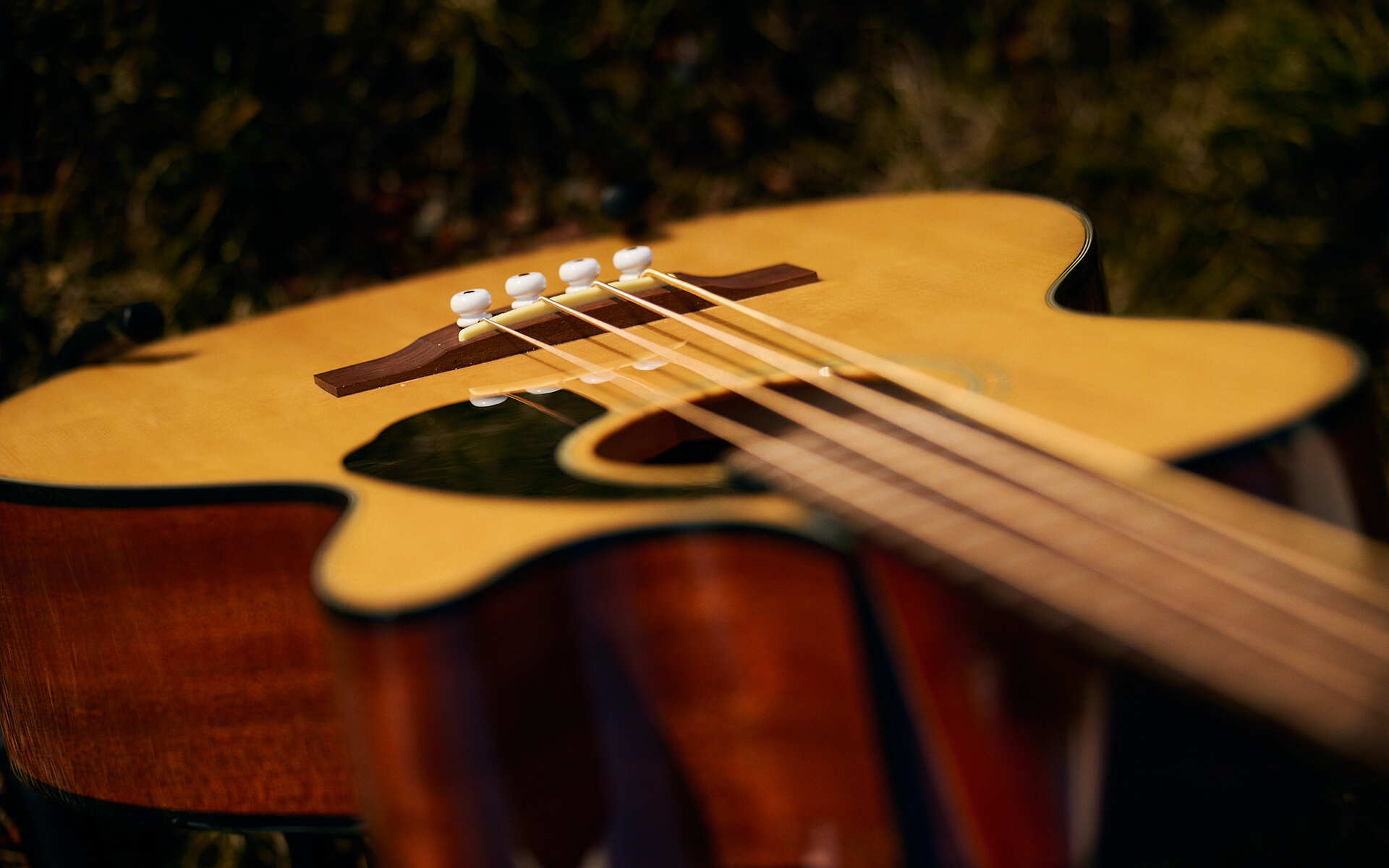 Music Gear Setup by lorant_gulyas featuring Fender CB-60SCE Bass Guitar