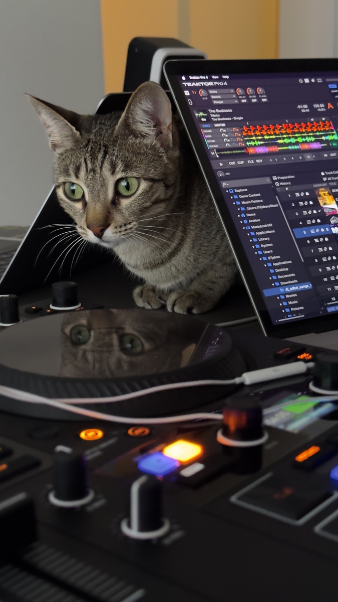Electronic DJ Setup by 07jaken featuring Native Instruments Traktor Kontrol S4 MK3, Apple MacBook Pro (16-inch, 2019), and Apple EarPods and 1 more piece of gear