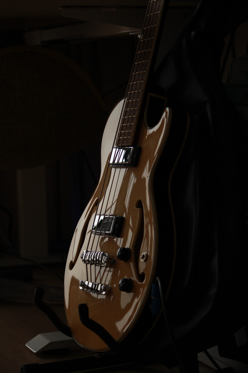 Music Gear Setup by 07jaken featuring Ibanez AGB200