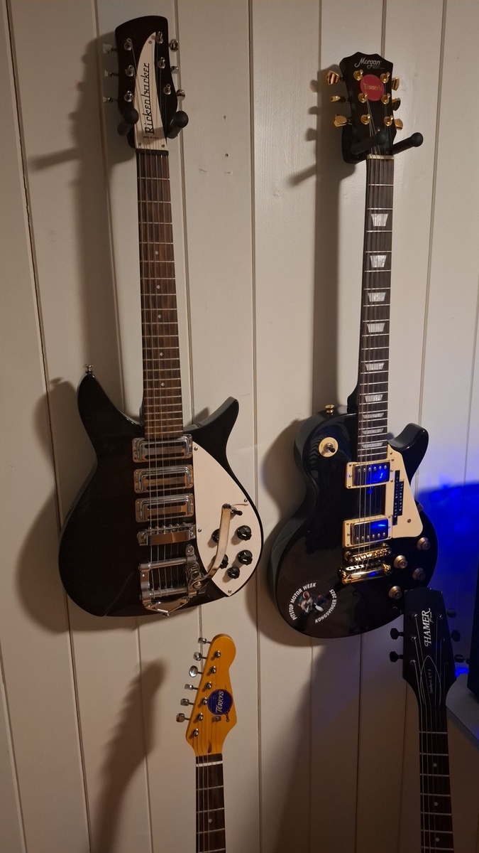 Music Gear Setup by lars_gustav_larsson featuring Chickenbacker 325