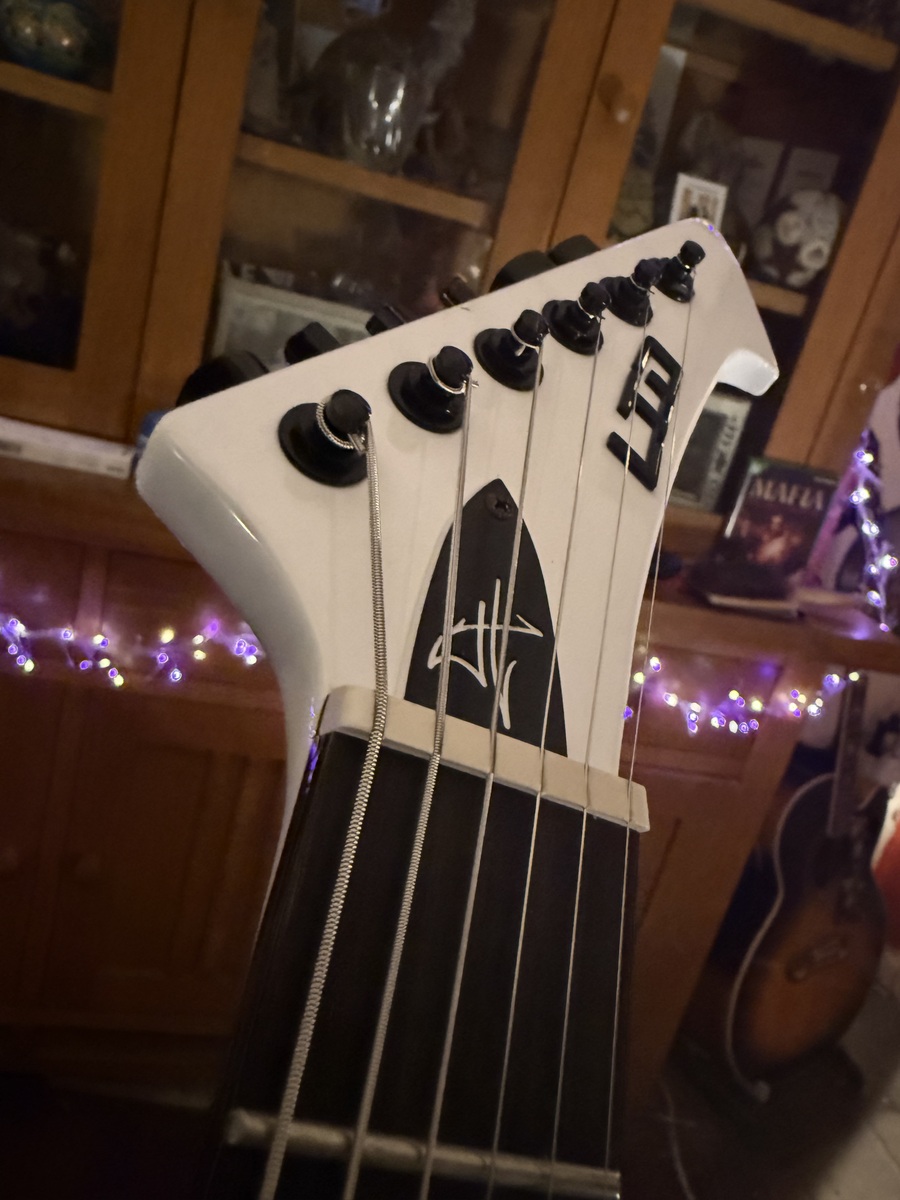Music Gear Setup by callummccaul featuring ESP LTD James Hetfield Snakebyte Electric Guitar