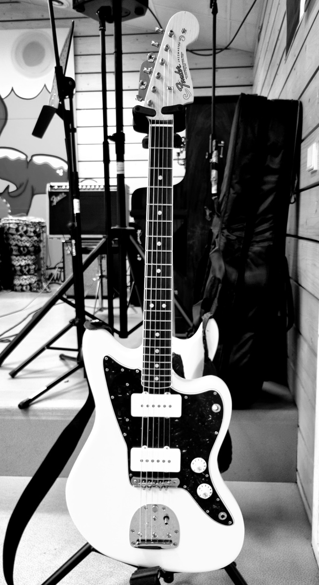 benoitborie's music gear photo