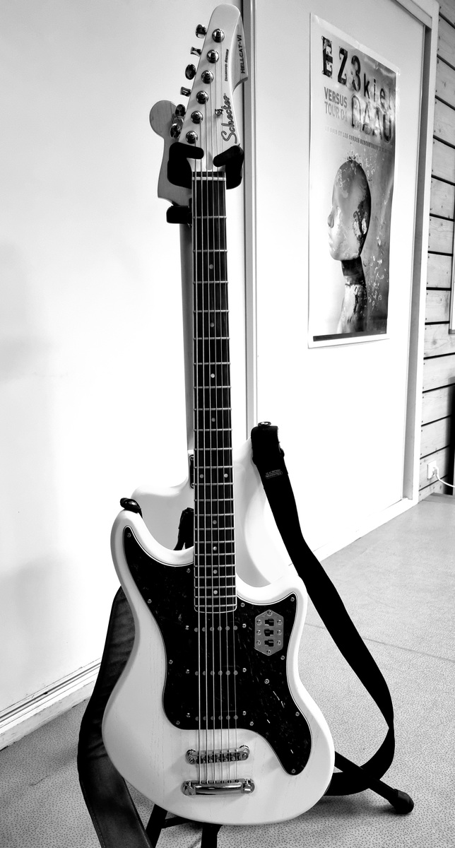 benoitborie's music gear photo