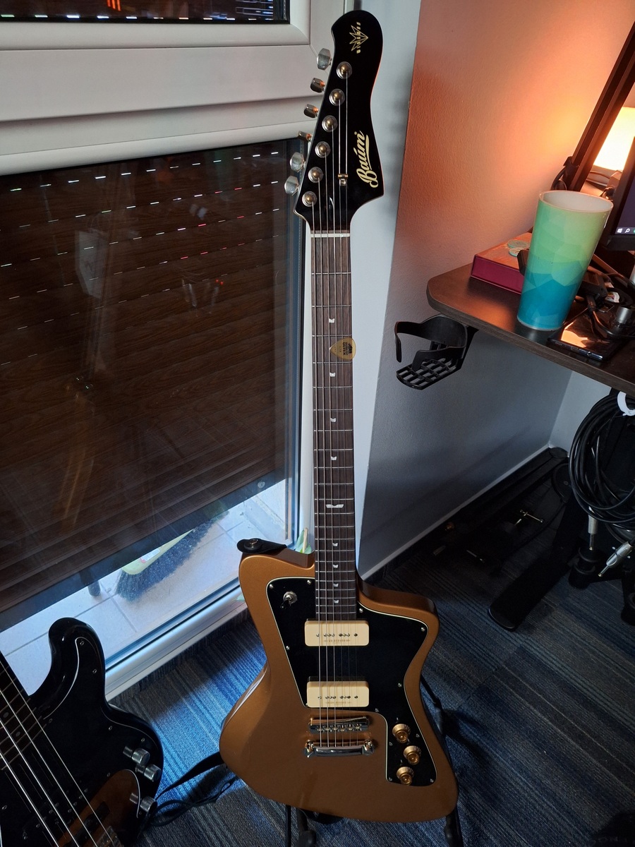 Music Gear Setup by ivanyimozes featuring Baum Guitars Wingman Vega